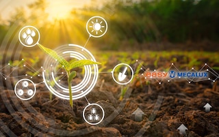 Lar: automated warehouse for frozen food Lar: automated warehouse for frozen food