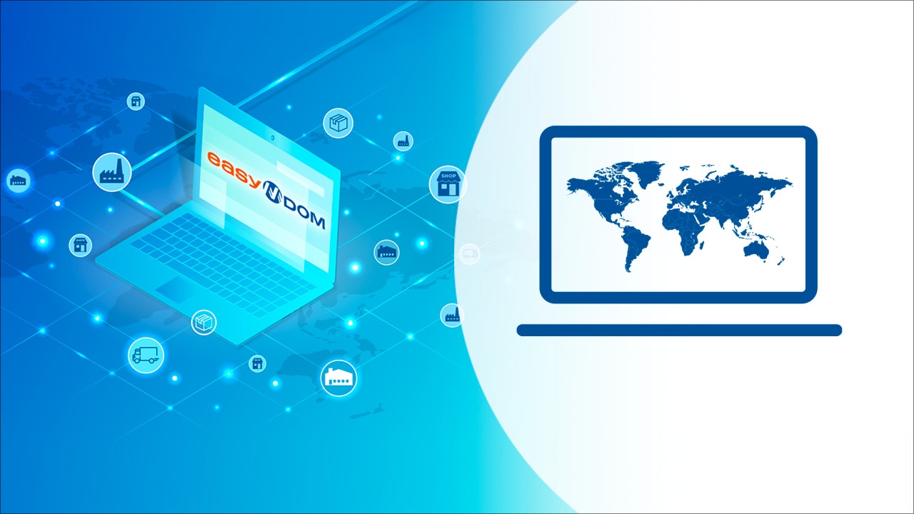 Easy DOM. Software designed for seamless supply chain integration